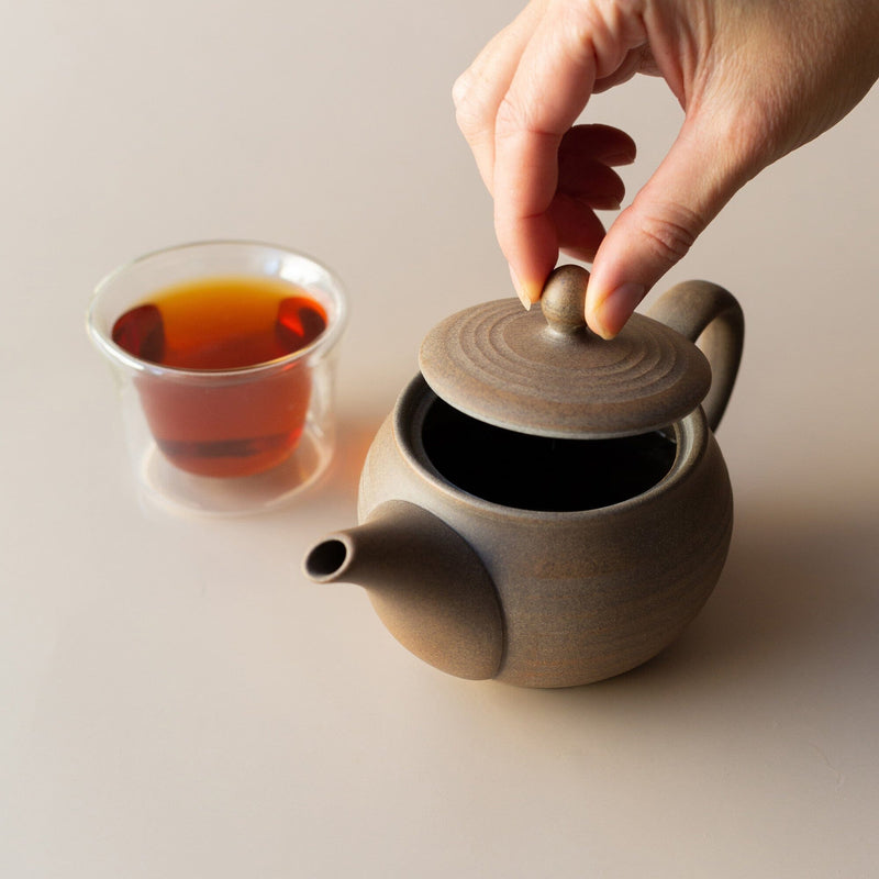 Shinmaru Tokoname Teapot