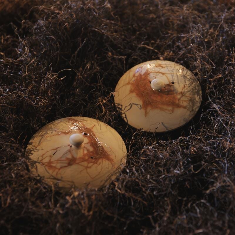 Blue Mogake Tokoname Teapot