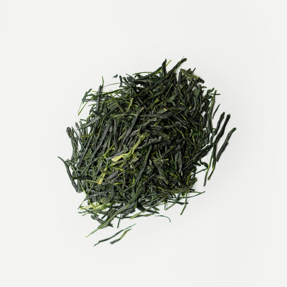 Yaeyama Shincha Yabukita