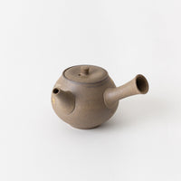 Autumn Grass Tokoname Teapot
