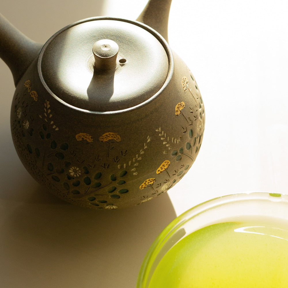 Autumn Grass Tokoname Teapot