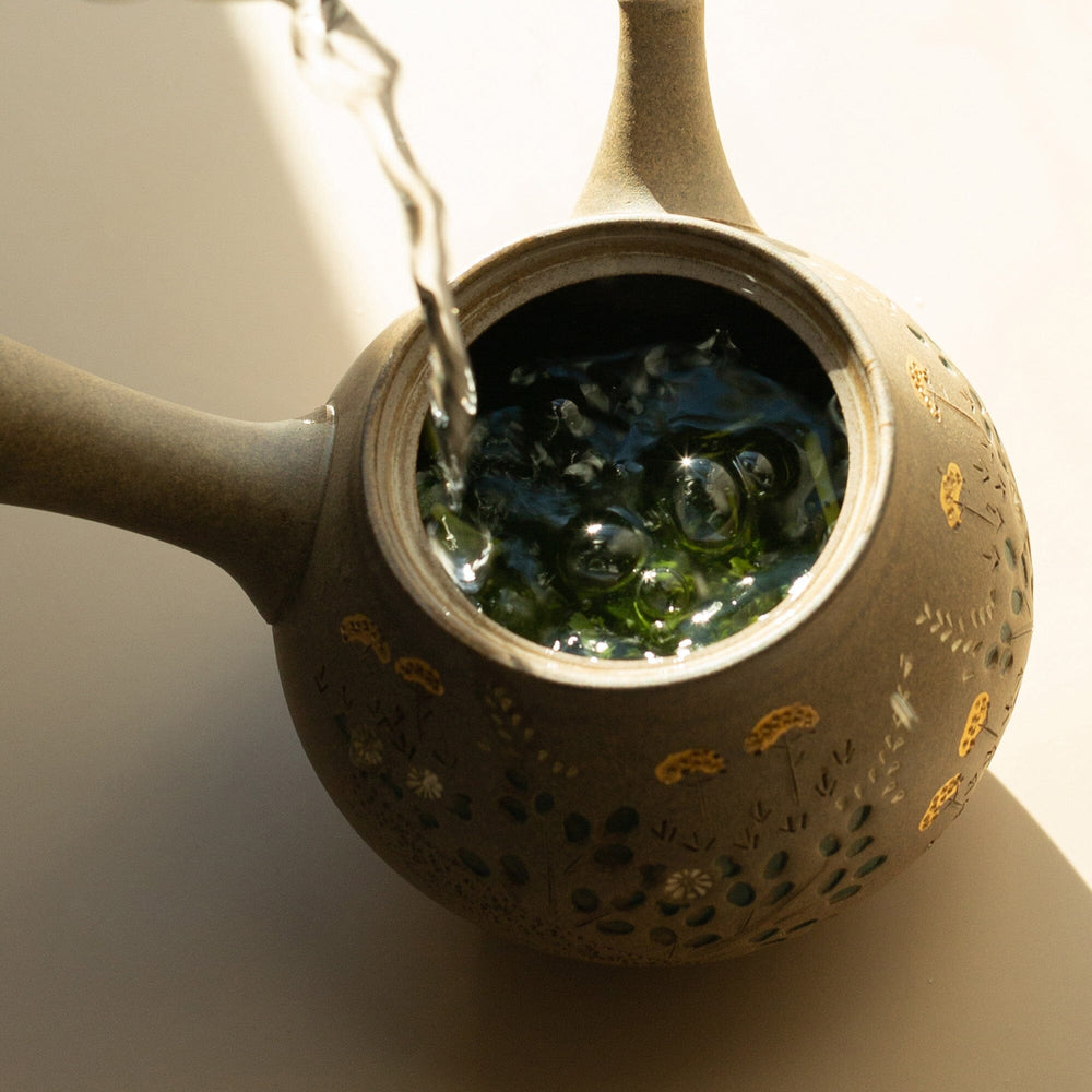 Autumn Grass Tokoname Teapot