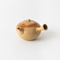 White Mogake Tokoname Teapot