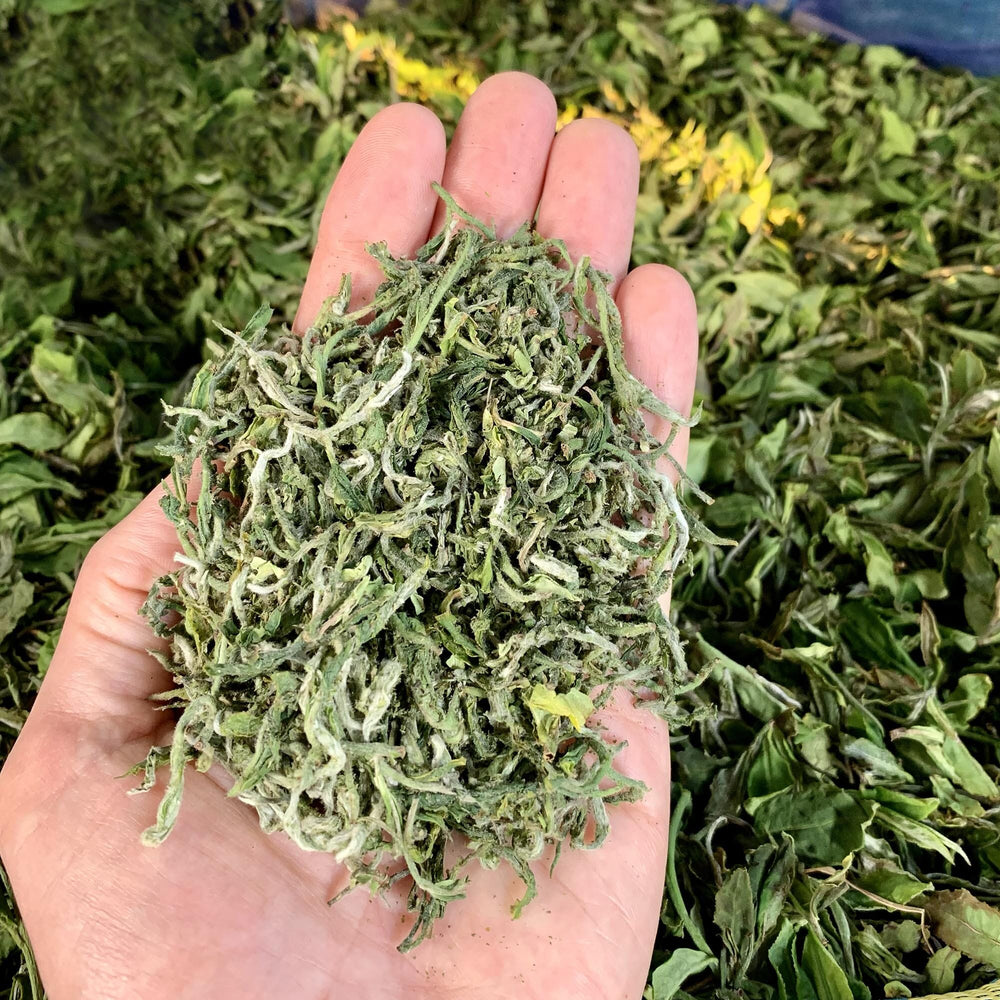 Darjeeling First Flush Tumsong EX3