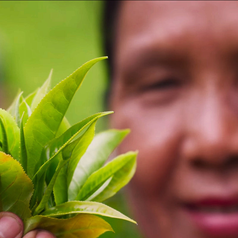 Wild Thai Black