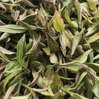 Darjeeling Second Flush Chamong DJ73