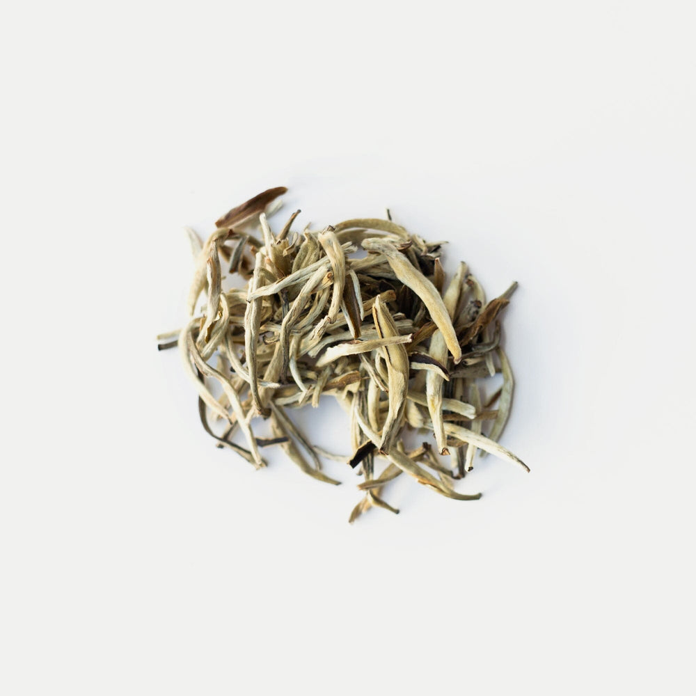 Silver Needles Tea Jasmine Silver Needles | Rishi Tea