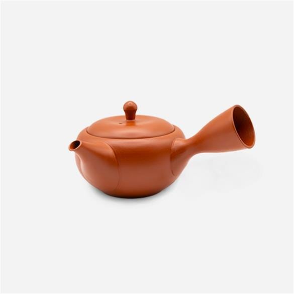 A Takasuke Tokoname Kyusu Teapot by Rishi Tea & Botanicals on a white background.